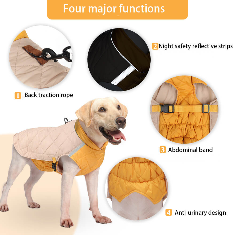 Veste matelassée réglable pour chien – Chaude et sûre pour les promenades hivernales