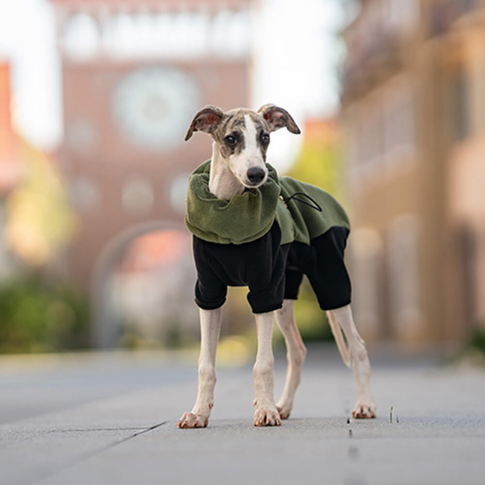 Vollständig bedeckender Hunde-Einteiler aus Polarfleece mit abnehmbarem Halsband