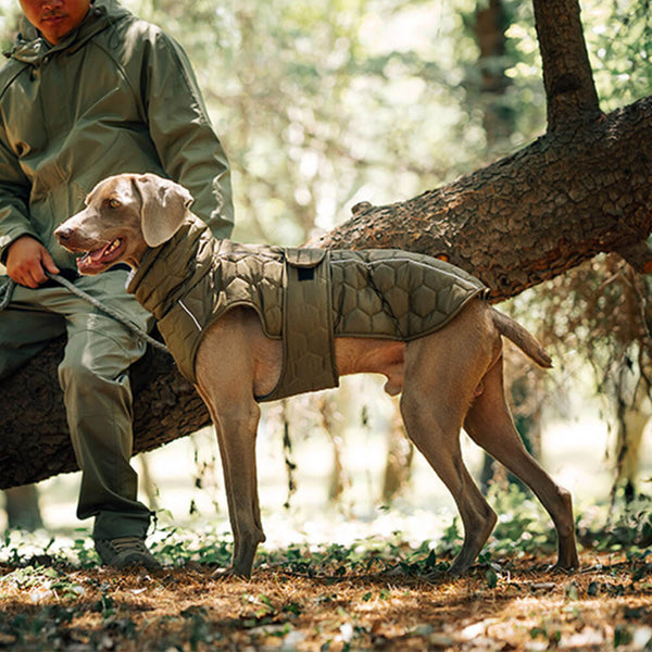 Chaleco de perro al aire libre acolchado: cálido y duradero para senderismo y aventuras