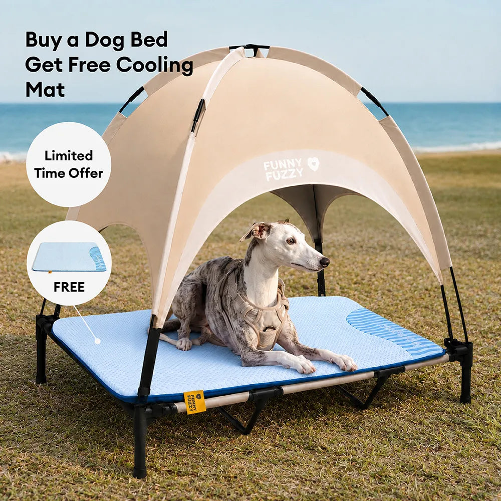 Breathable Cooling Elevated Dog Bed With Cooling Mat