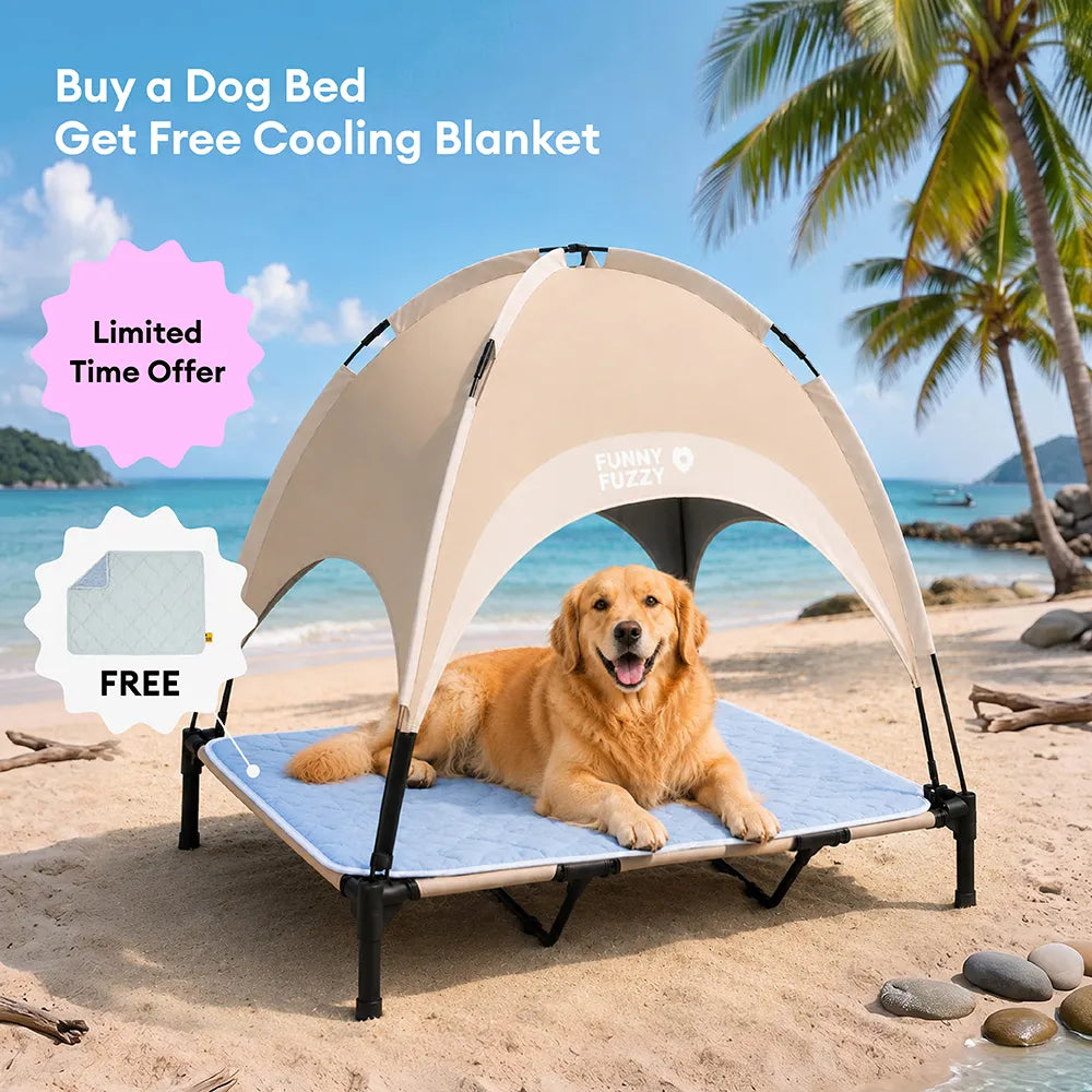 Breathable Cooling Elevated Dog Bed With Cooling Blanket