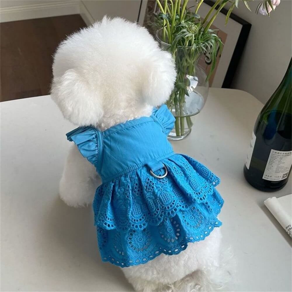 Stylish Blue & Pink Lace Dog Dress - Perfect for Special Occasions