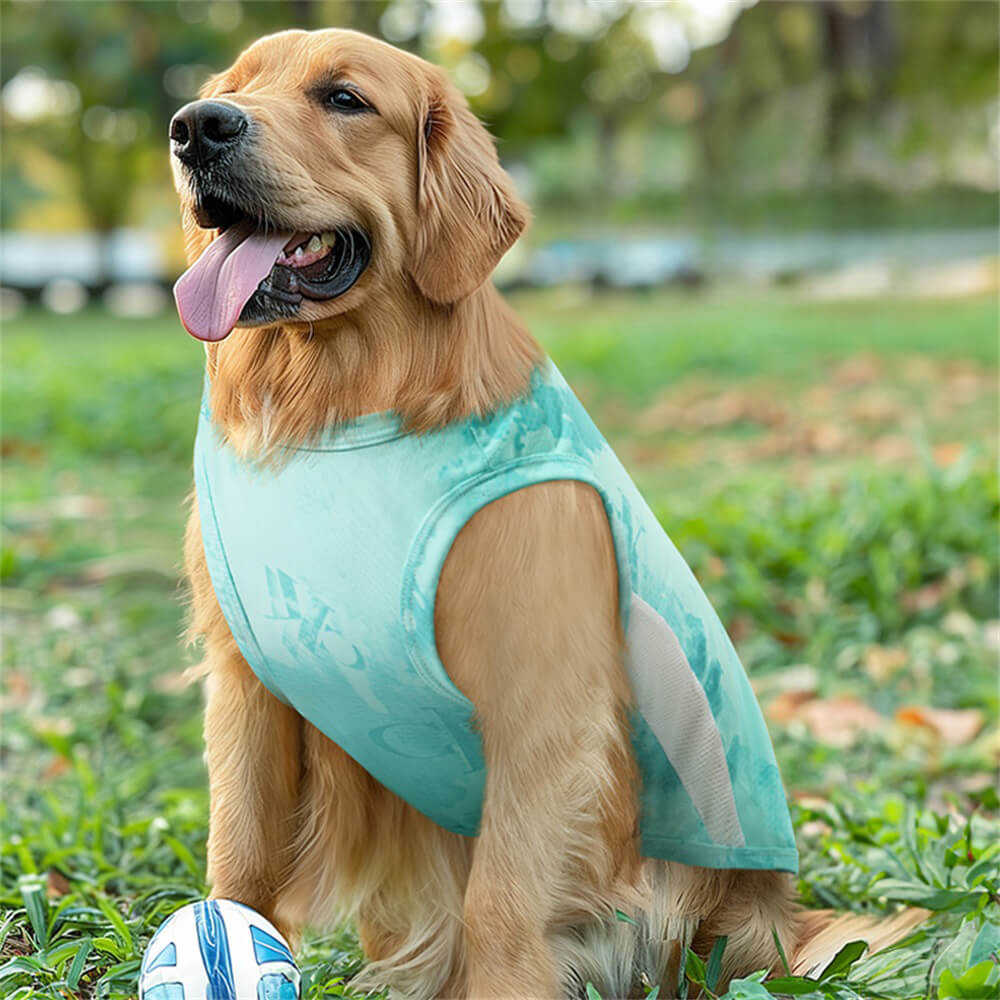 Big Dog Summer Cooling Vest - Thin Ice Silk, Breathable & Lightweight Sportswear