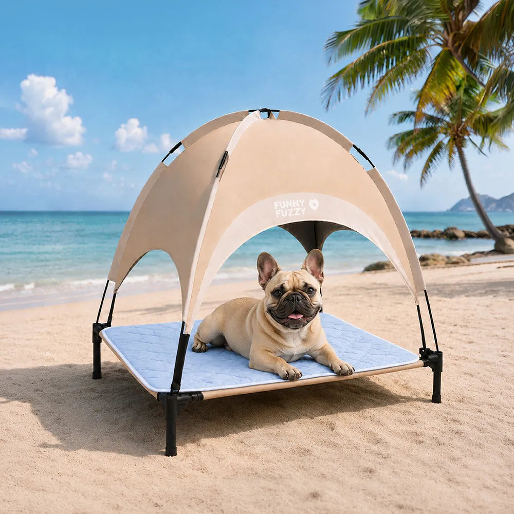 Breathable Cooling Elevated Dog Bed With Cooling Blanket