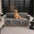 Cloud Fleece Anti-Slip One-Piece Couch Cover
