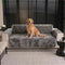 Cloud Fleece Anti-Slip One-Piece Couch Cover