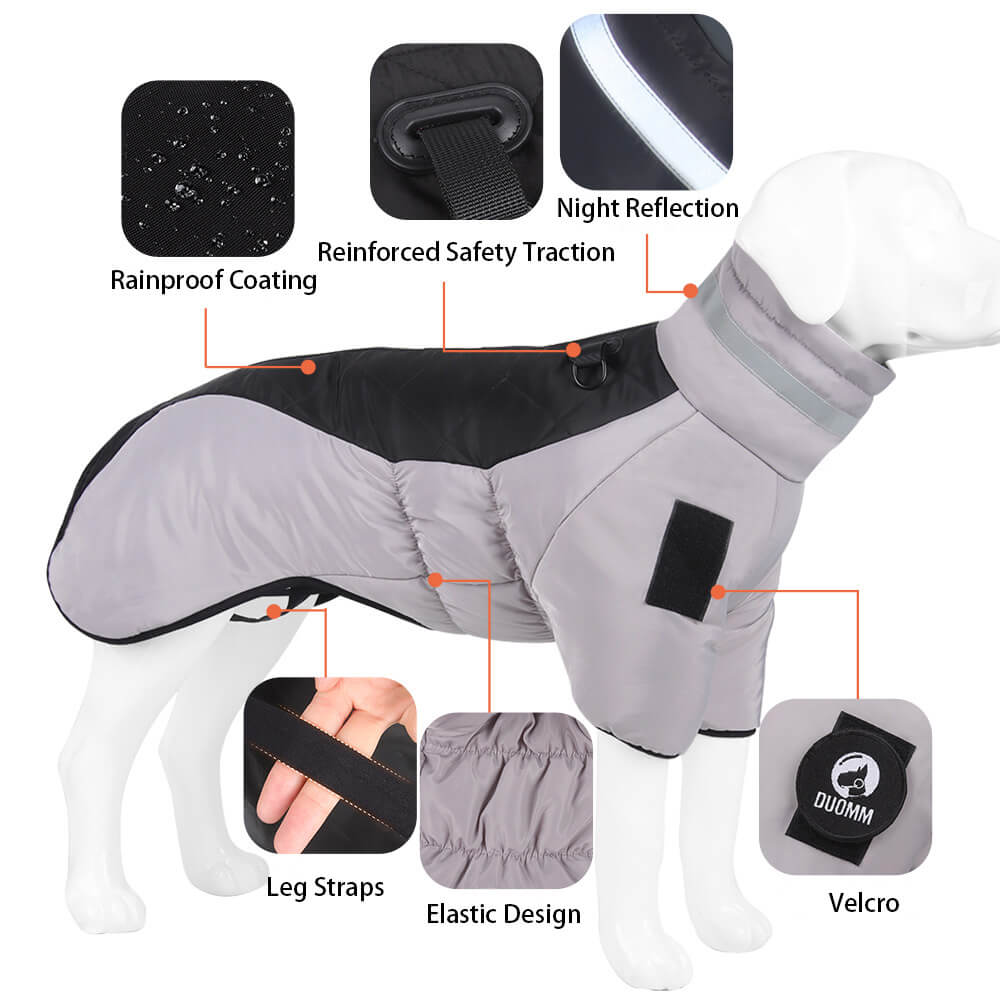 Winter reflective warm big dog cotton jacket - suitable for outdoor adventures