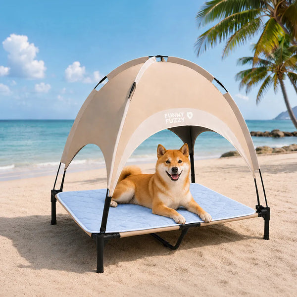 Breathable Cooling Elevated Dog Bed With Cooling Blanket