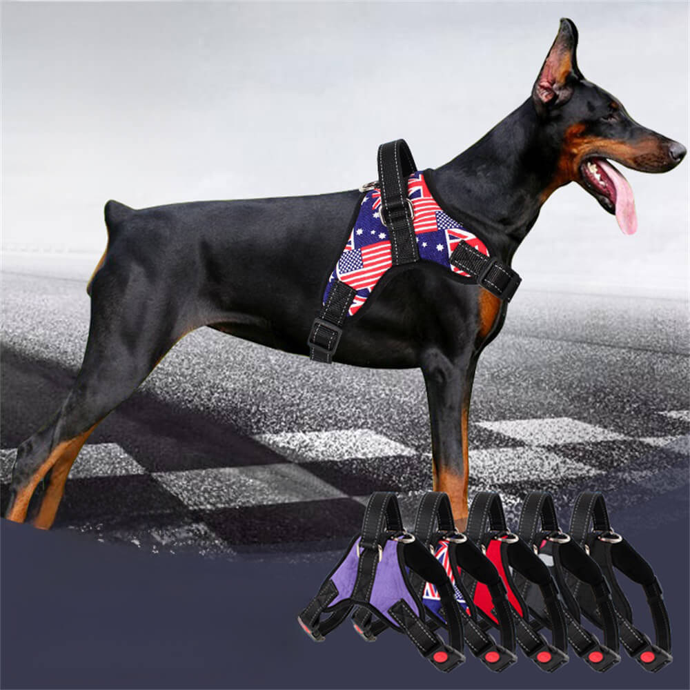 Arnés para perros Union Jack con cuerda de tracción: equipo para caminar elegante y funcional