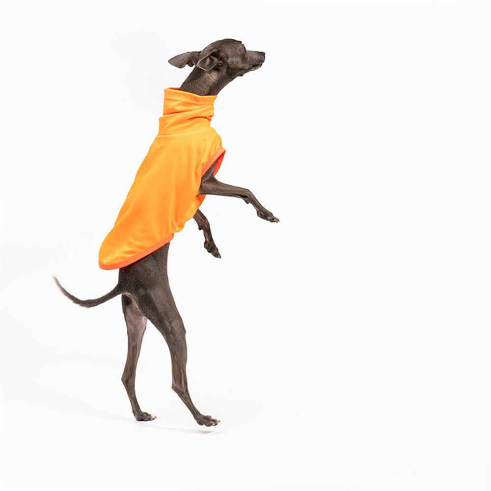 High-Visibility Lightweight Dog Turtleneck - Bright and Breathable for Outdoor Adventures