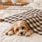 Cozy Reversible Plaid Plush Pet Throw Blanket with Pom-Poms
