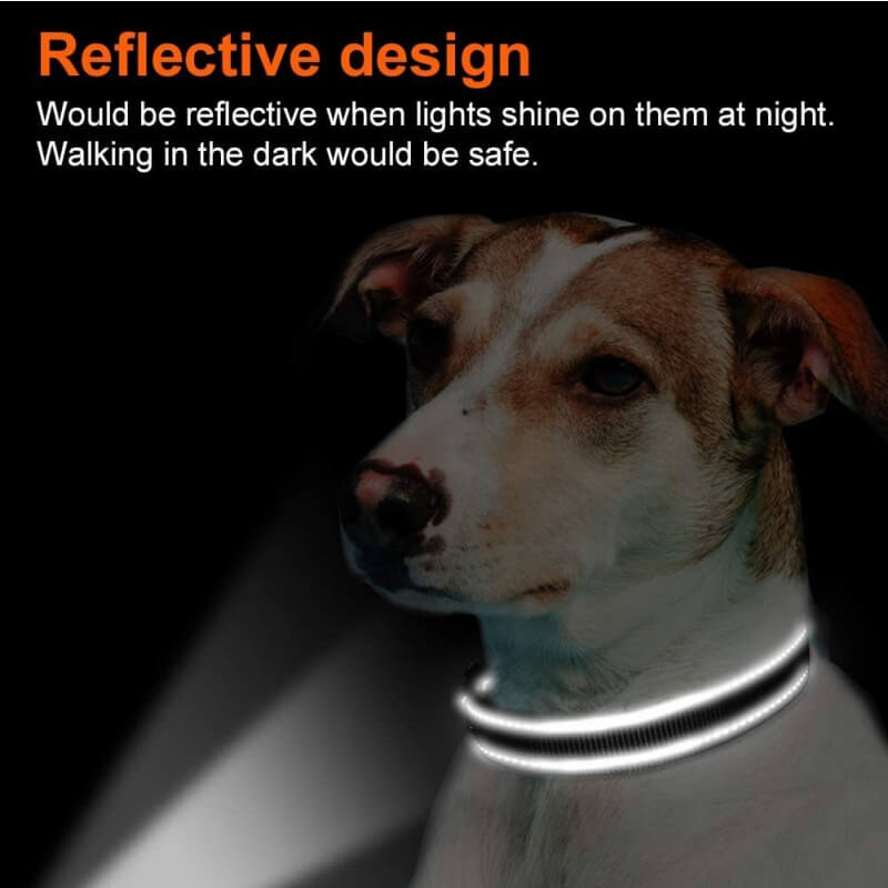 Adjustable Reflective Safety Nylon Dog Collar