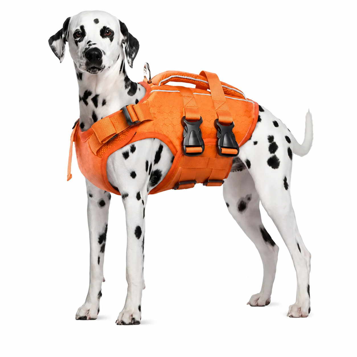 Adjustable Dog Life Jacket with Reflective Strips for Medium and Large Dogs