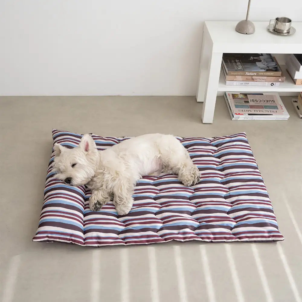 All-Season Breathable Double-Sided Neck Support Pillow Dog Bed