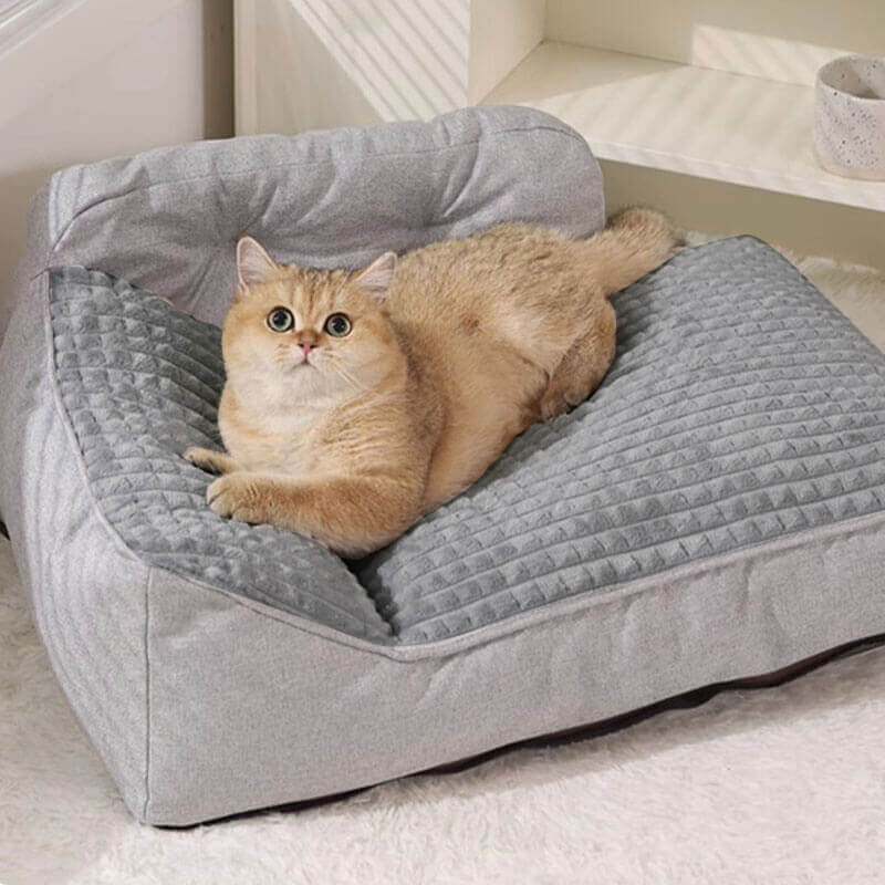 Cat bed for older fashion cats