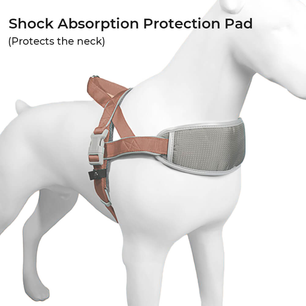 Anti Pull Shock-absorbing Neck Protection Large Dog Harness with Leash