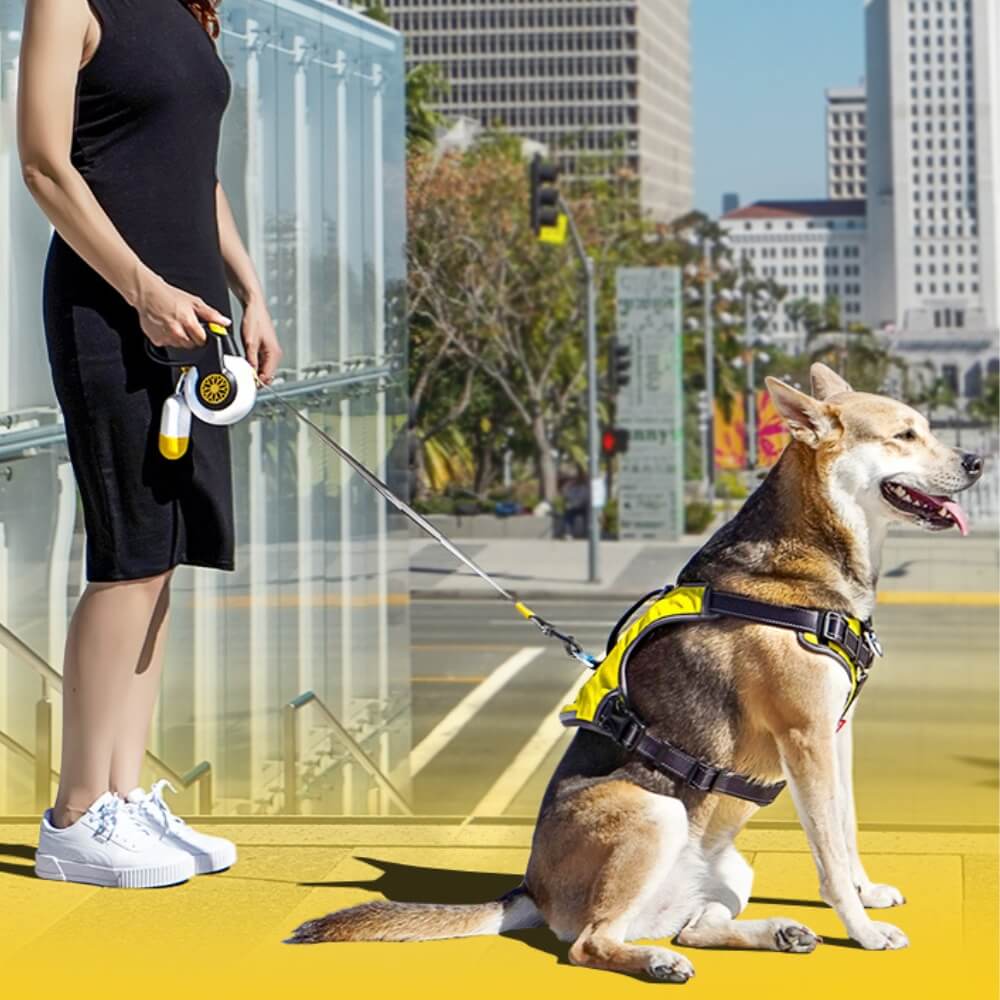 Automatic Explosion-Proof Retractable Dog Leash for Medium to Large Dogs