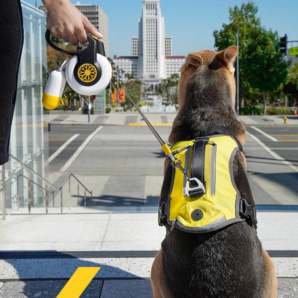 Automatic Explosion-Proof Retractable Dog Leash for Medium to Large Dogs