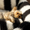 Black & White Stripe Faux Lambs Wool Soft Dog & Cat Sofa Bed - Winter Piano Keys
