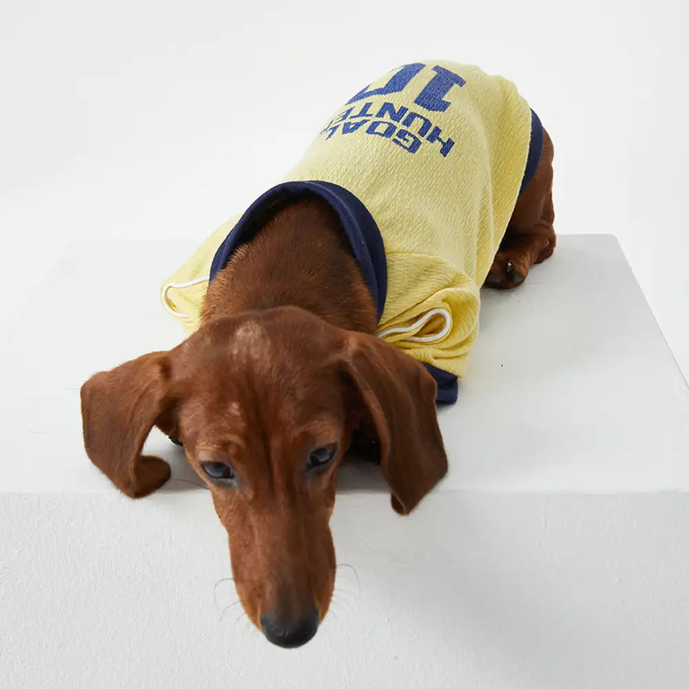 Breathable Thin Puppy Crewneck T-Shirt