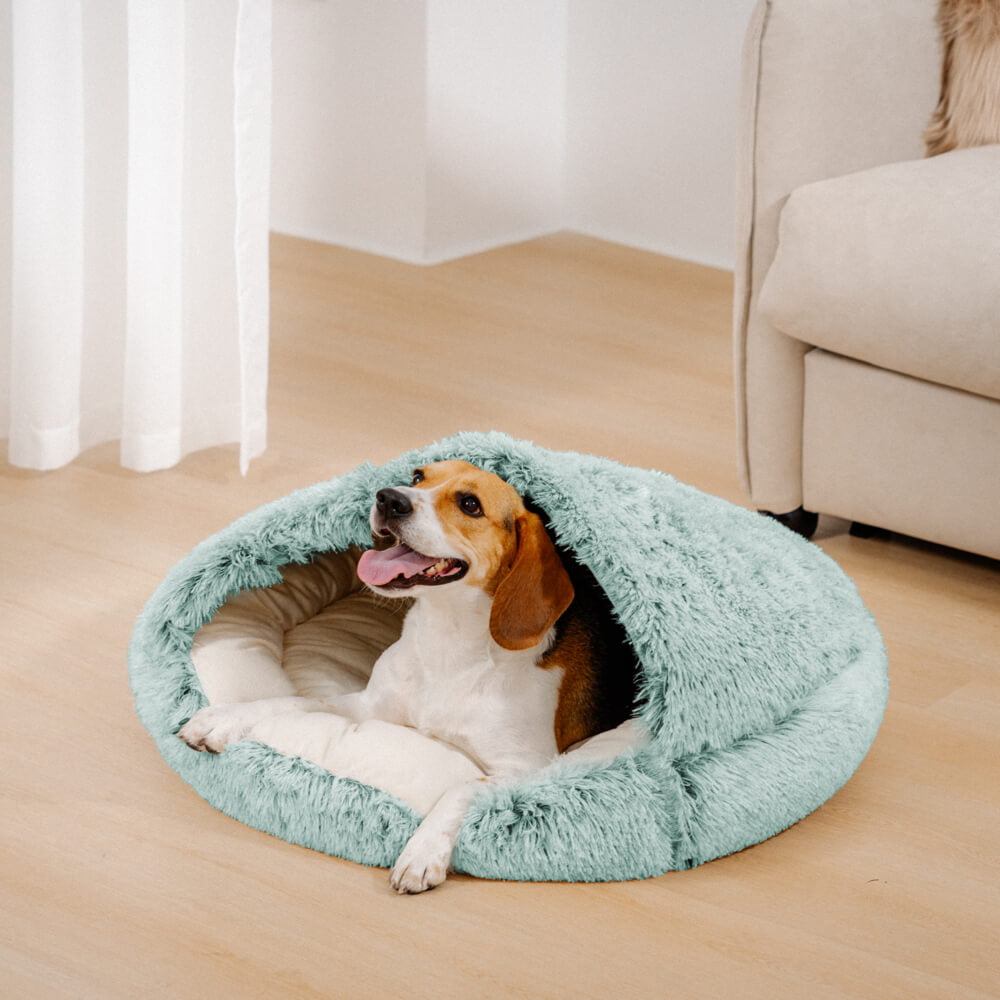 Calming bed sale for dogs