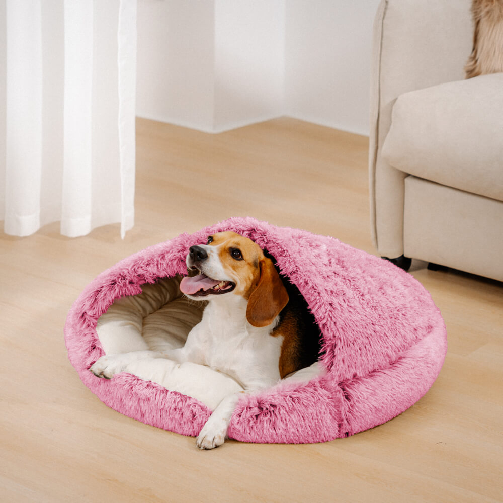 Fluffy pet outlet bed