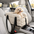Stylish Plaid Portable Travel Dog Car Safety Seat Central Console