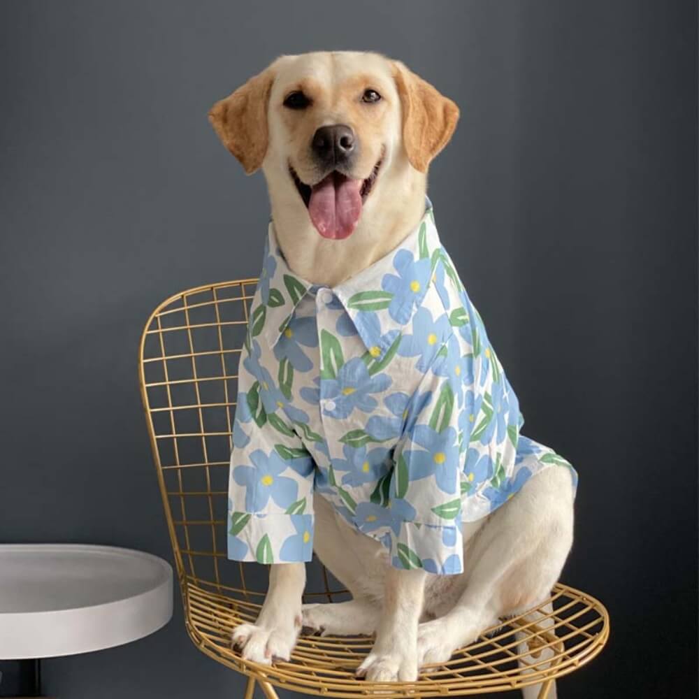 Charmante chemise florale pour animaux de compagnie et vêtements assortis du propriétaire