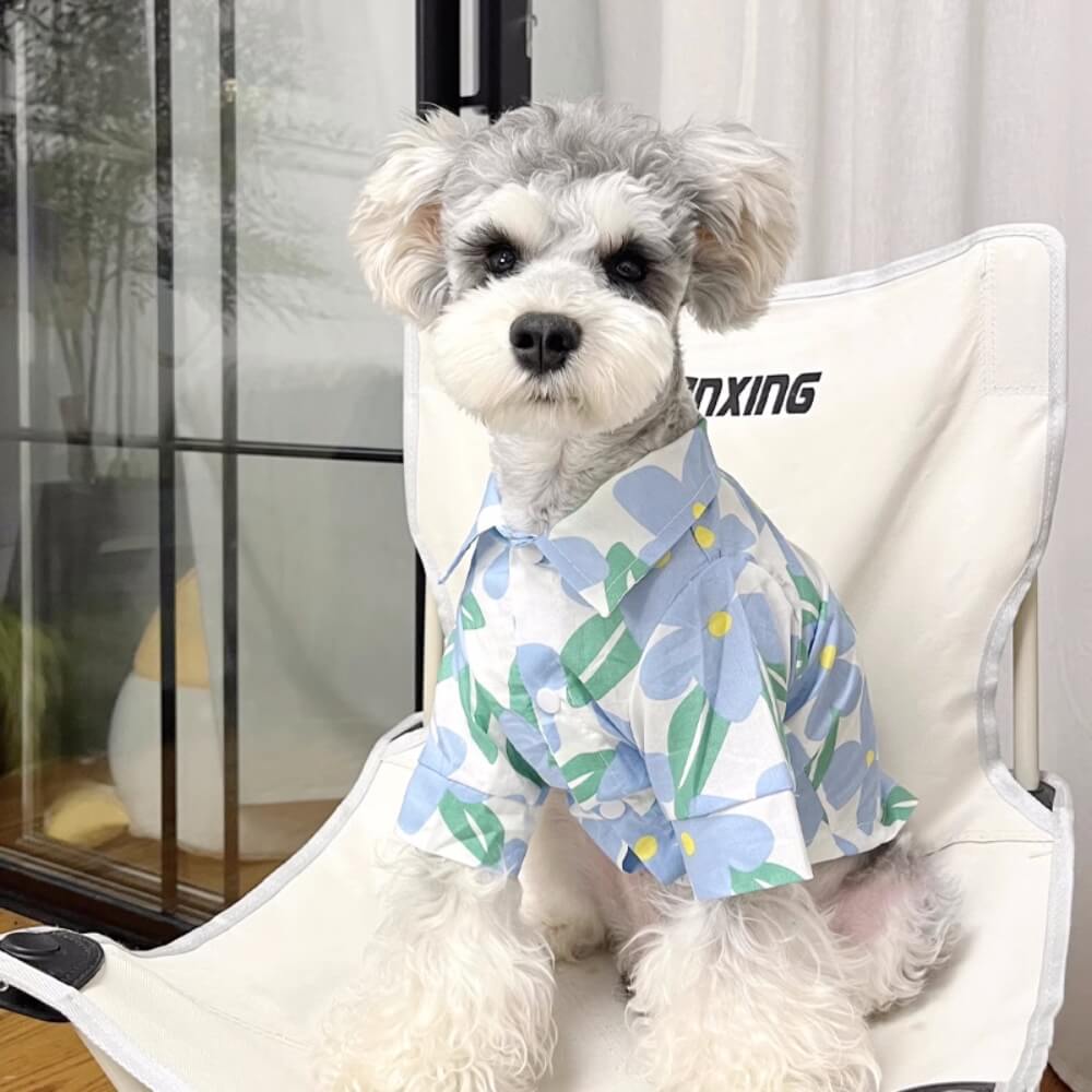 Camisa floral encantadora para animais de estimação e roupas combinando com o proprietário