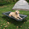 Foldable Elevated Dog Bed-Urban Roaming