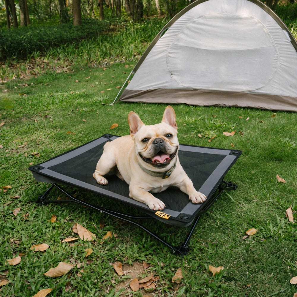 Foldable Elevated Dog Bed-Urban Roaming