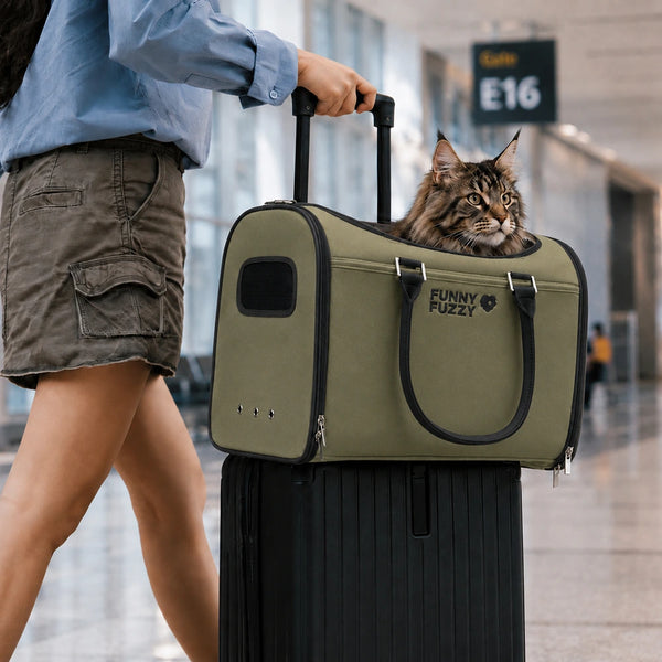 Cat Airline-Compliant Soft-Sided Carriers-Urban Roaming