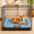 Waterproof ＆ Chew-proof Memory Foam Orthopedic Dog Mat for Crate
