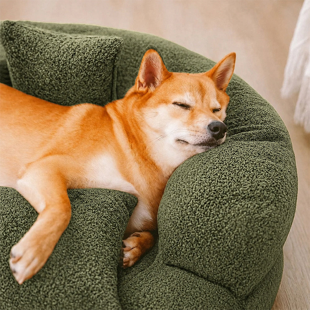 Luxe Diamond Velvet extraíble cama ortopédica para perros con almohada - Dreamnest