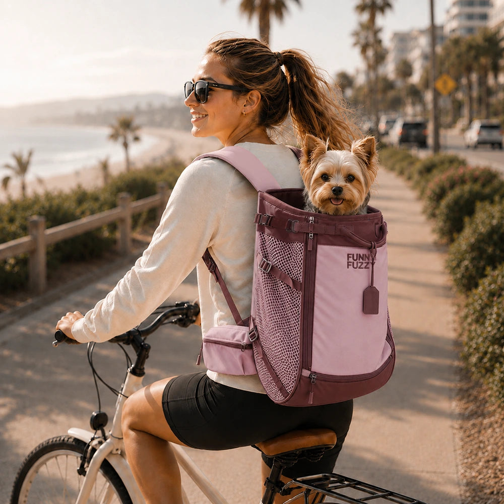 Dog Carrier Backpacks Dog Rucksack Dog Bike Carrier  - Urban Roaming