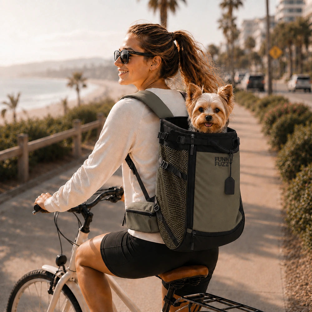 Dog Carrier Backpacks Dog Rucksack Dog Bike Carrier  - Urban Roaming