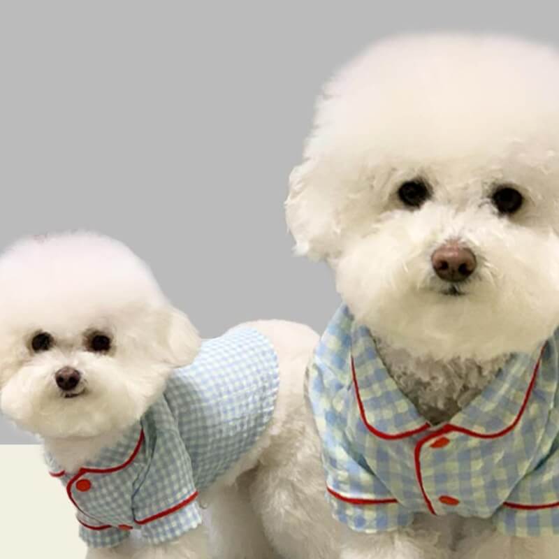 Conjunto de pijama xadrez chique combinando roupas para cachorro e proprietário