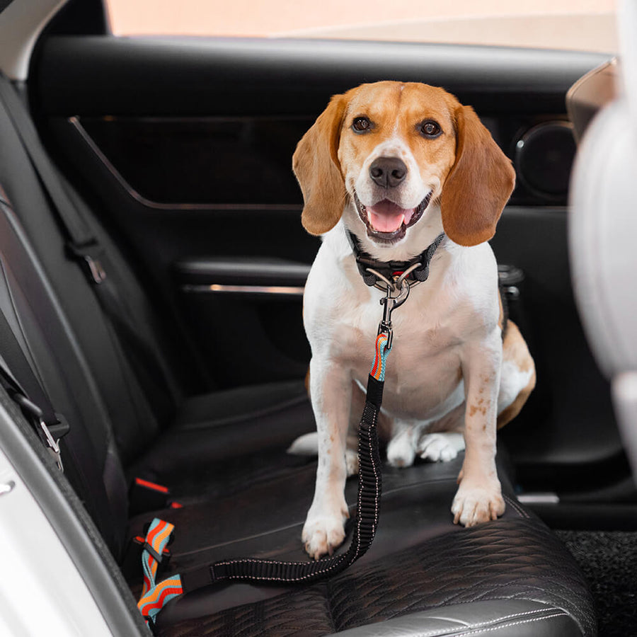 colorful-buffer-adjustable-cool-dog-accessories-car-seat-belt-funnyfuzzy