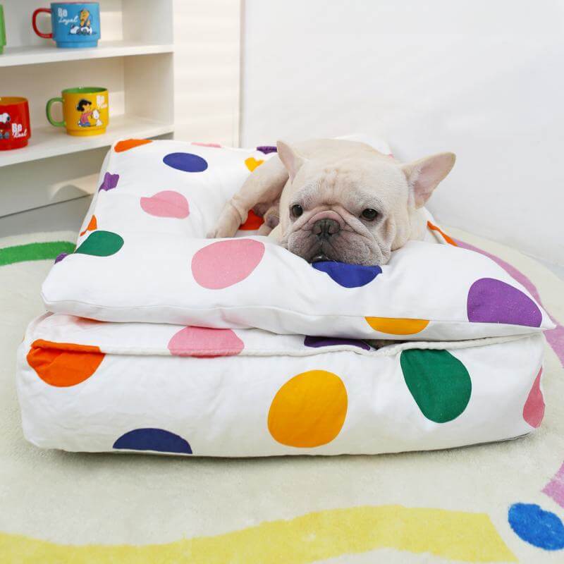 Cama de almofada aconchegante e divertida com pontos coloridos e cama de cachorro calmante