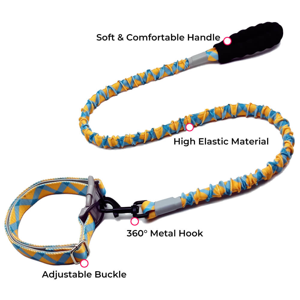 Grande laisse et collier colorés de chien de corde de traction d'élasticité élevée