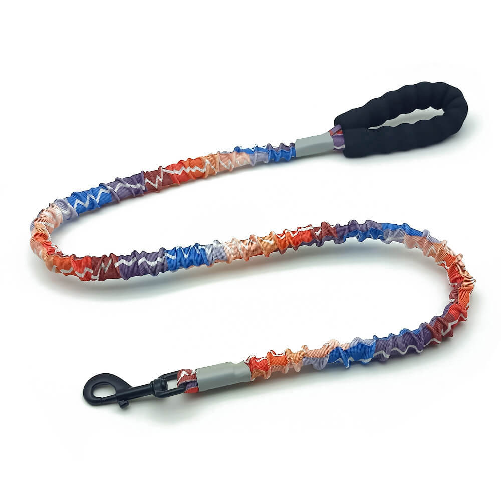 Colorful High Elasticity Traction Rope Large Dog Leash And Collar