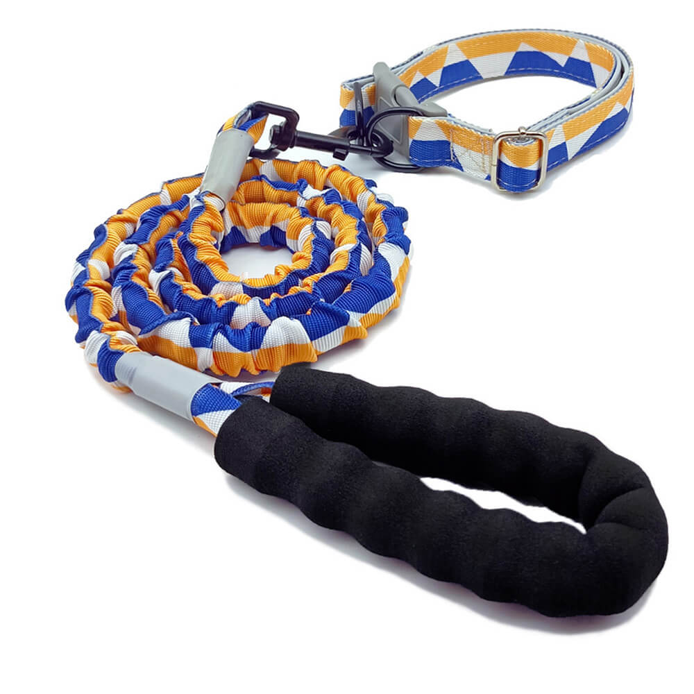 Trela ​​e colar do cão da corda alta colorida da tração da elasticidade grandes