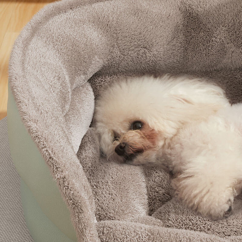 Cozy Backrest Pet Bed Deep Sleeping Waterproof Dog & Cat Bed