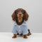 Cozy Knitted Dog Sweater with Plaid Collar – Available in Pink & Blue