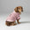 Cozy Knitted Dog Sweater with Plaid Collar – Available in Pink & Blue