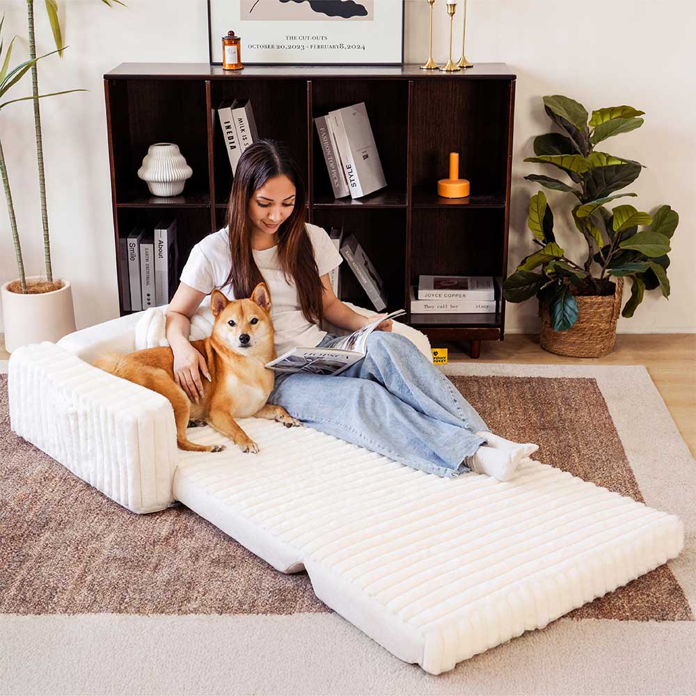 Creamy Fluffy Orthopedic Human-Dog Bolster Bed - Expandable Comfort