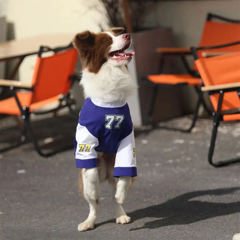 Crew Neck Breathable Washable All Breed Dog T-Shirt