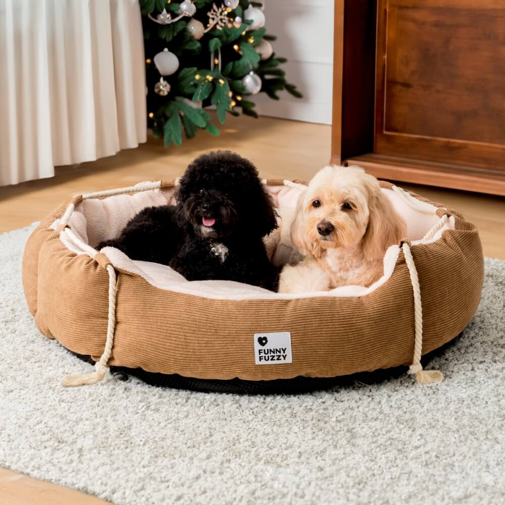 Chew resistant dog outlet bed