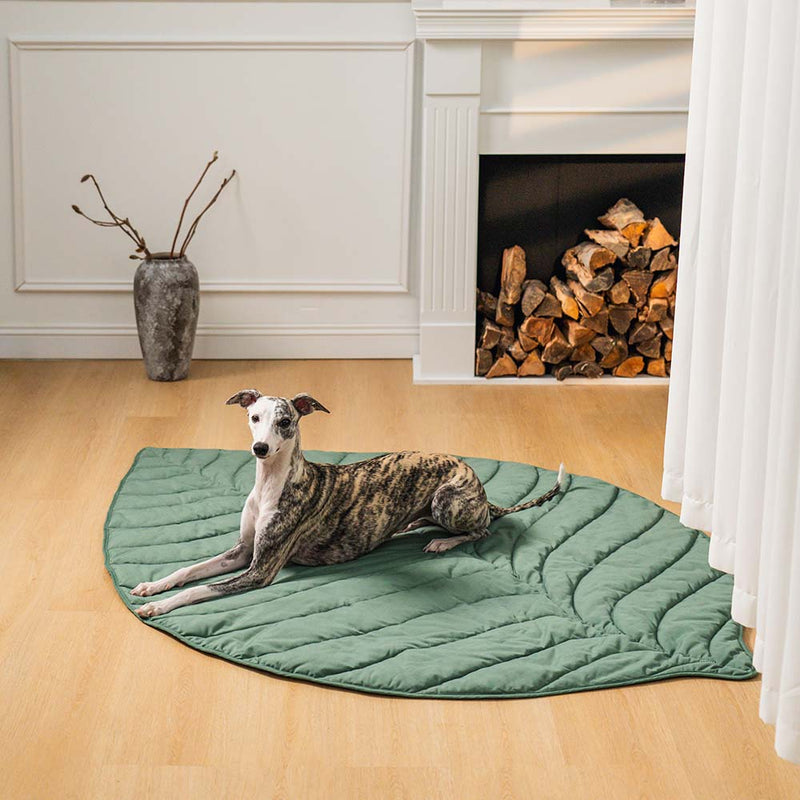 Dog Beds & Blankets Collection | Cozy & Stylish Pet Essentials