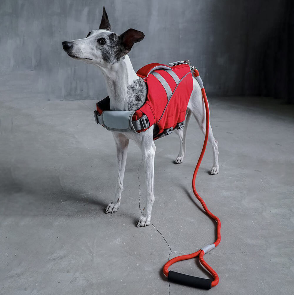 Colete salva-vidas para cães - salva-vidas